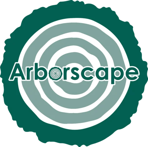Best Landscaping Services in Cumbria