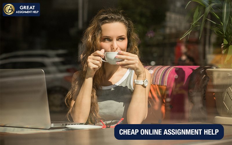 Assignment Help
