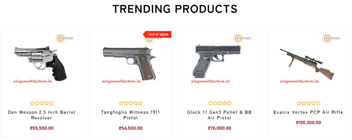 air gun stores