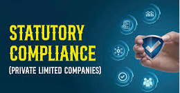 Private Limited Company Compliance