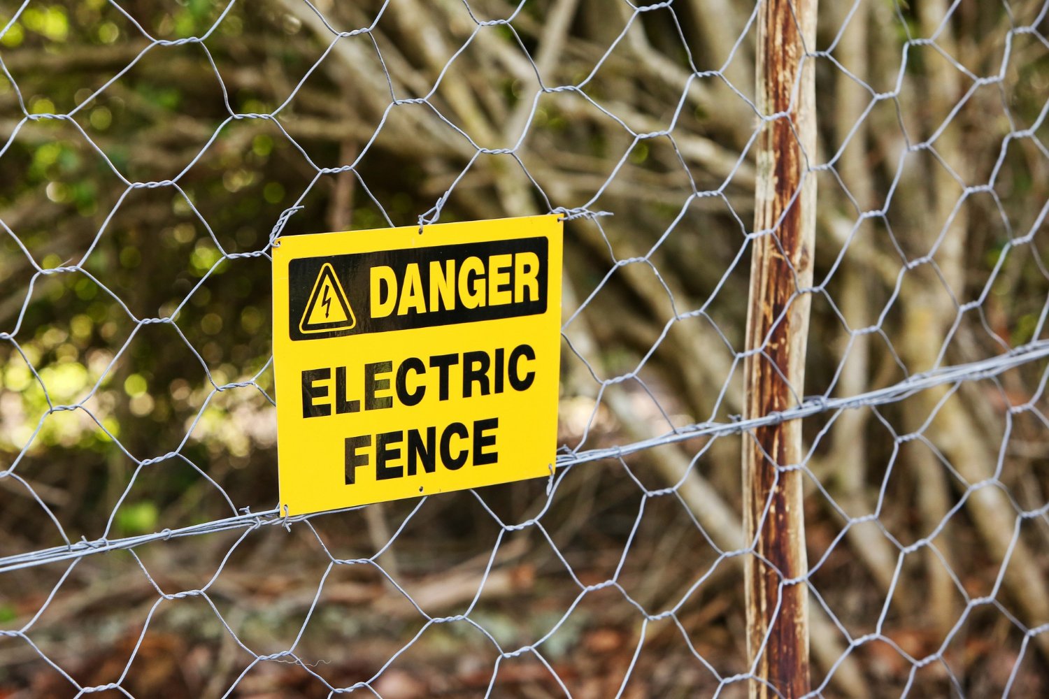 Electric Fencing Cape Town & Fence Price Guide