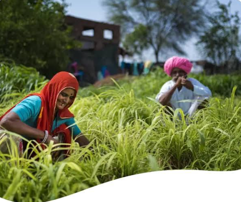 Pest infestations remain one of the most significant challenges in modern agriculture, affecting crop health, yield potential, and overall farm profitability. Insects and other harmful organisms can damage crops at various growth stages, leading to substantial economic losses if not managed effectively.