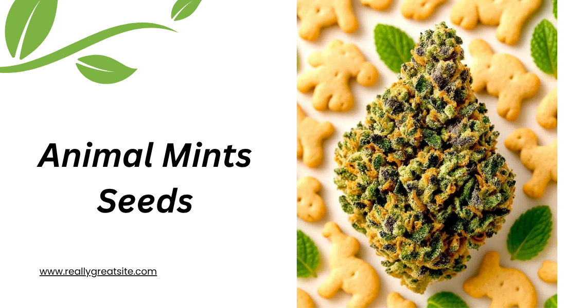 Animal Mints Seed