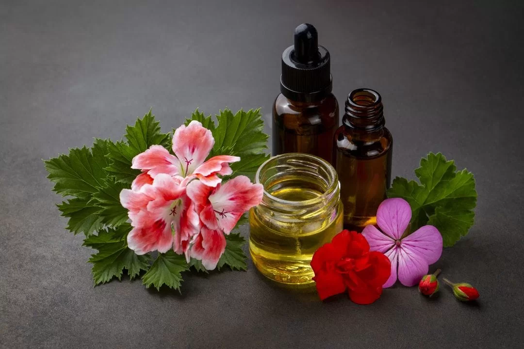 How Do You Choose the Best Geranium Oil for Your Needs?