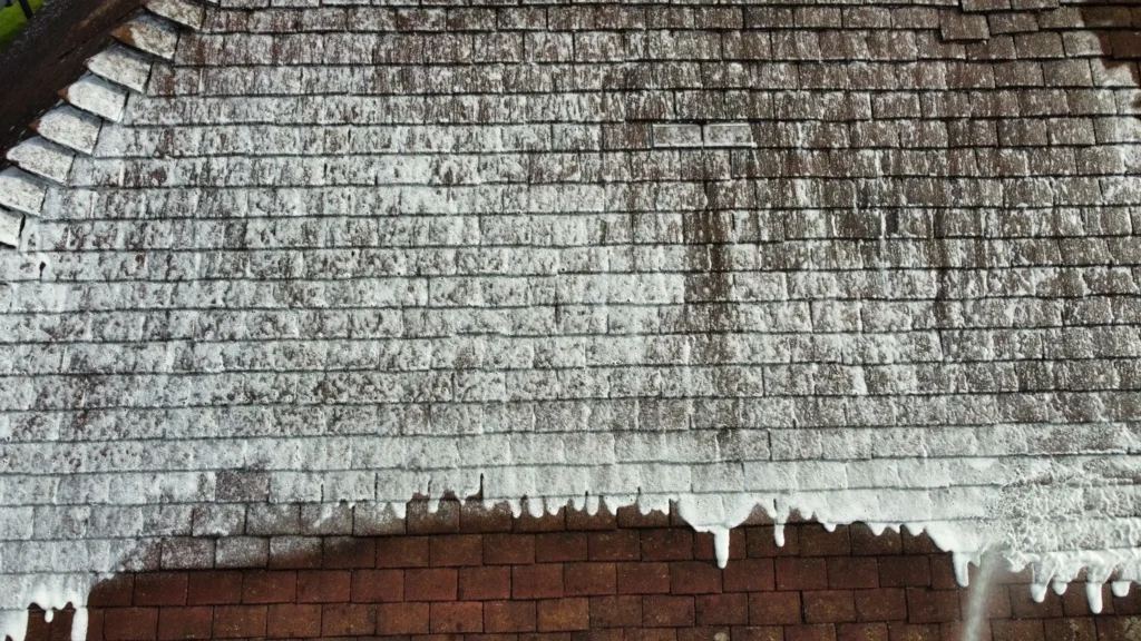 Roof Softwashing in Radlett