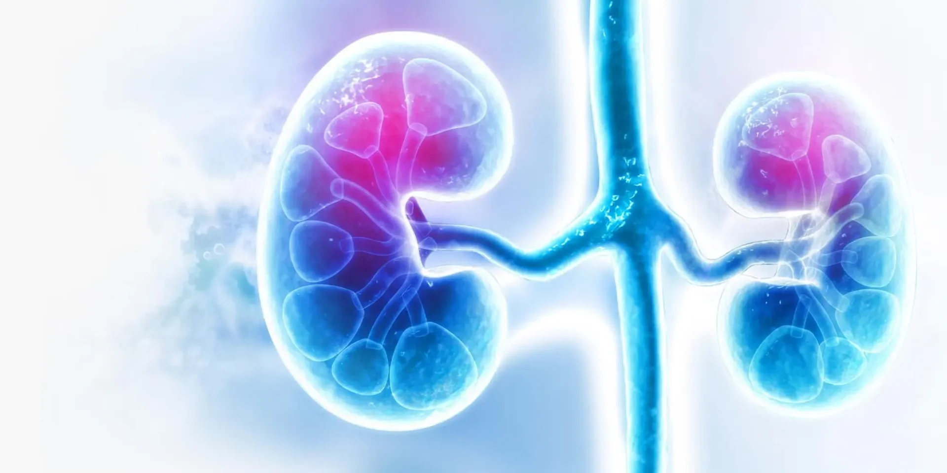 outsource urology billing services