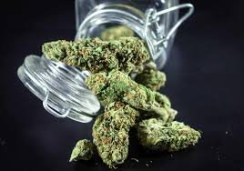 weed