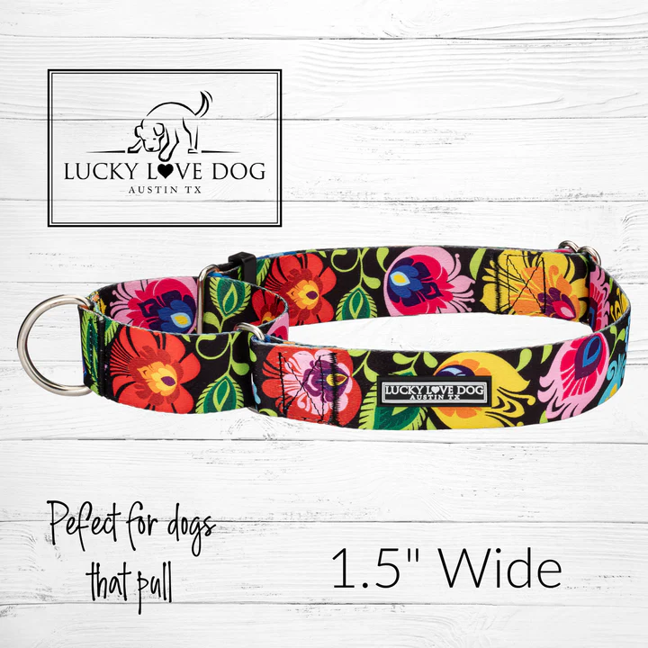 lucky love dog collars